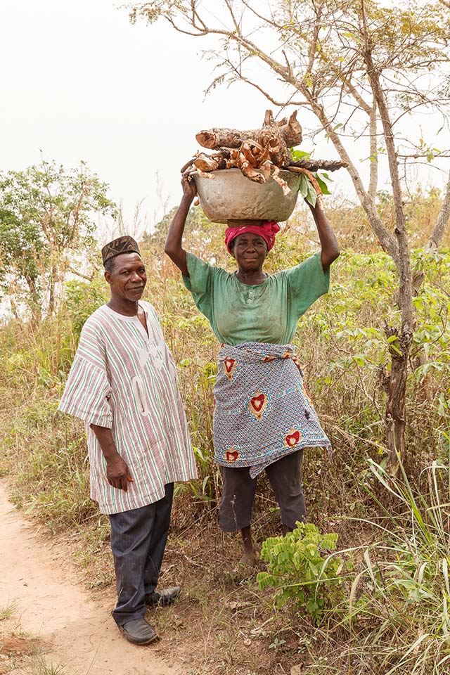 Les productions agricoles Togolaises